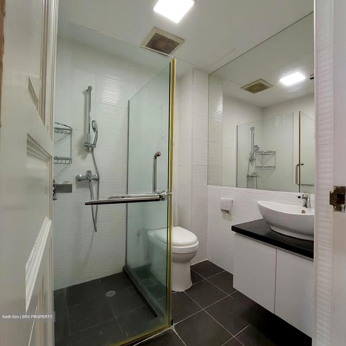 Shelford Regency (D11), Condominium #535836481